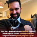 New York Belediyesi’nden evcil hayvan sahiplerine 1,5 milyon dolarlık destek