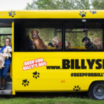 Billy’s Bus: Patili dostlar için sıradışı otobüs servisi