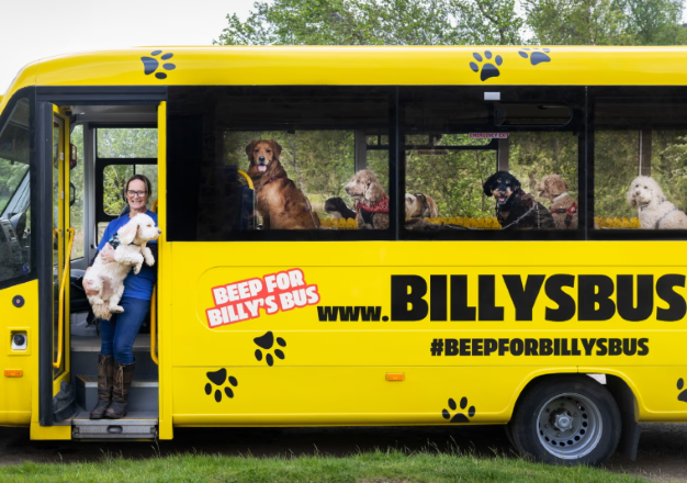 Billy’s Bus: Patili dostlar için sıradışı otobüs servisi