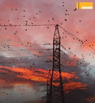 Kuşların göç yolunda elektrik çarpması tehdidi