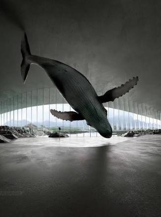 Balina gözlemcilerinin yeni rotası “The Whale” 2027’de Norveç’te açılıyor