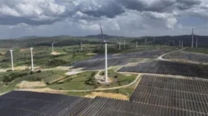 COP 31’in ‘’İklim Destekçisi’’ Siemens Türkiye oldu