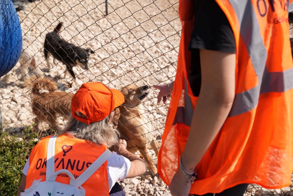 Borusan Pati Elçileri, bakımdan sahiplendirmeye kesintisiz destekle etki alanını büyütüyor