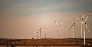 Greenpeace Türkiye’den COP31 öncesi iklim çağrısı