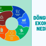 Düşük karbonlu ve döngüsel ekonomiyi büyüten 12 girişim