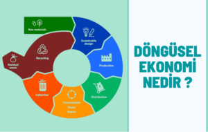 Düşük karbonlu ve döngüsel ekonomiyi büyüten 12 girişim