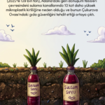 Haftanın Karikatürü – 2 Ekim