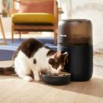Versuni, Philips pet serisiyle ENCANDER’in engelli hayvanlara yönelik bakım çalışmalarına destek oluyor