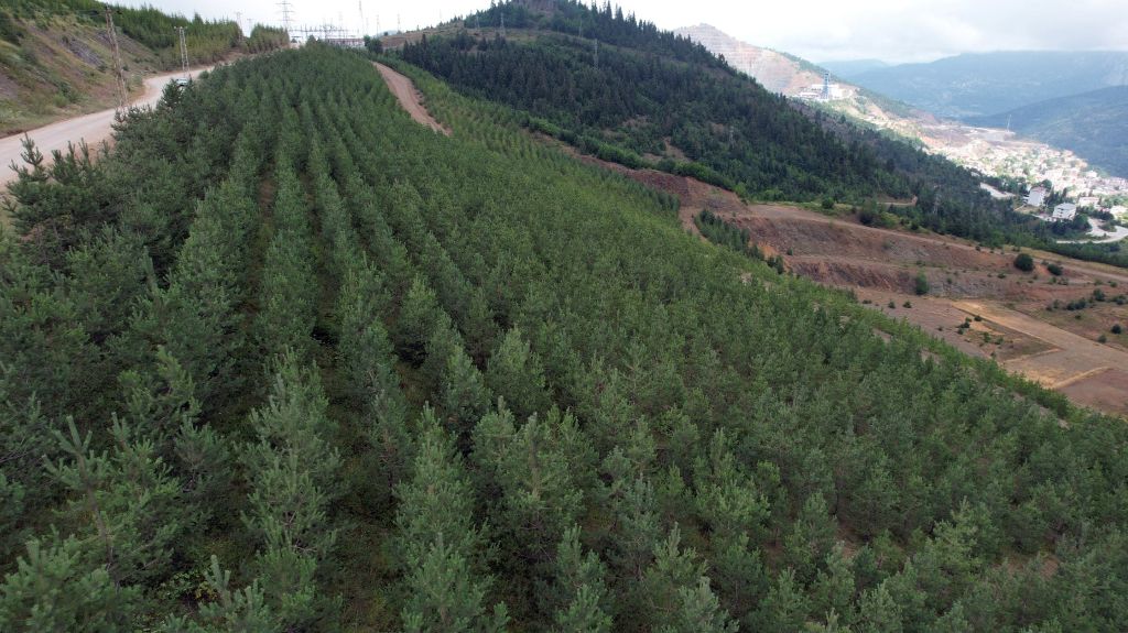 Eti Bakır, iklim ve doğa raporunu yayımladı